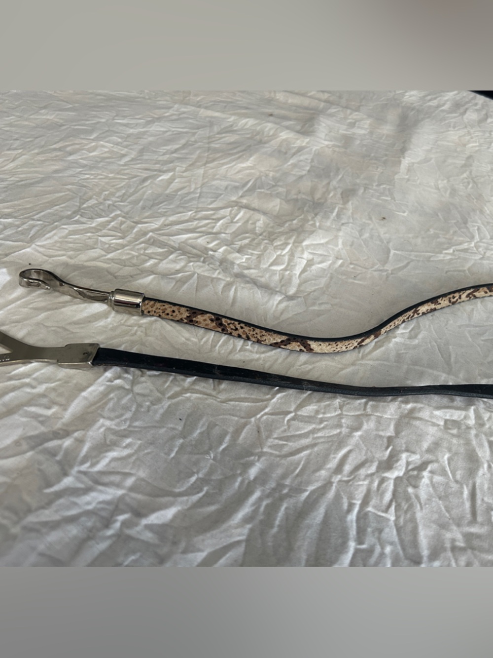 Women’s Thin Snake-Print Belt with Silver Hardware - Taupe - Picture 4 of 5